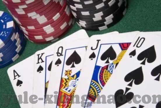 赏金女王正版下载-解锁数字娱乐新体验，赏金女王正版下载指南